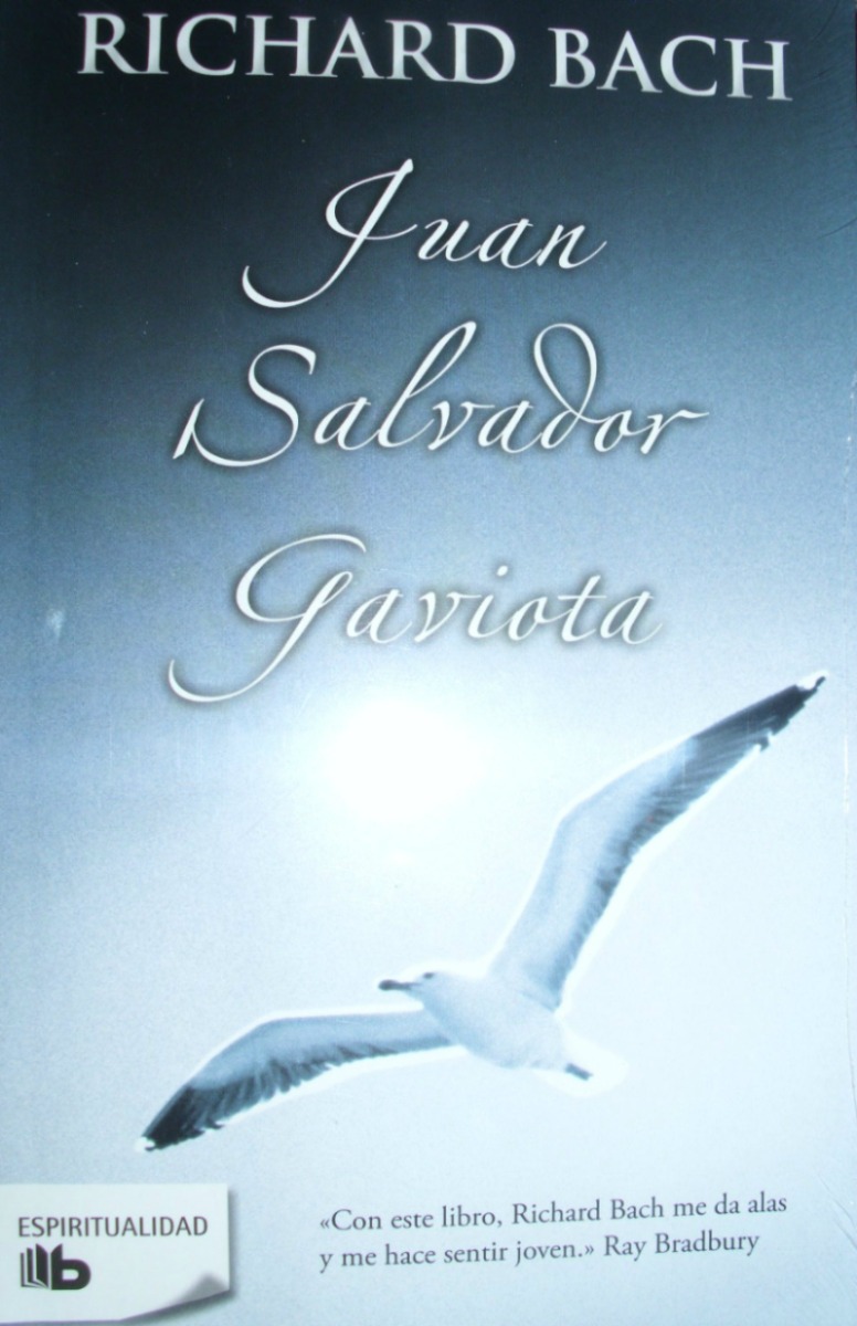 RESUMEN JUAN SALVADOR GAVIOTA - Richard Bach
